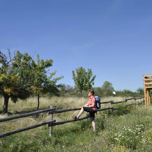 Eine grüne Landschaft mit einem Holzzaun und einem Aussichtsturm aus Holz.