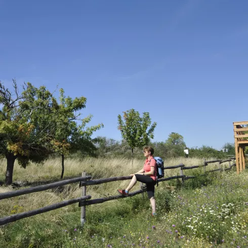 Aussichtsplattfor ins Naturschutzgebiet