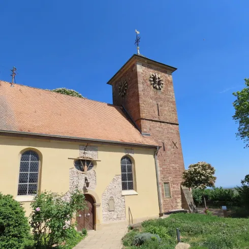 Die Jakobkirche in Herxheim am Berg, eine gelbe Kirche mit gemauerten Turm. An dem Kirchenturm hängen an jeder Seiten Uhren. Die Tür der Kirche ist aus Holz und abgerundet.