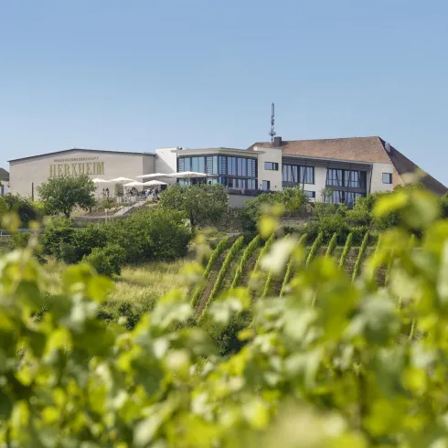 Das Gebäude der Winzergenossenschaft in herxheim am Berg von der Ferne .