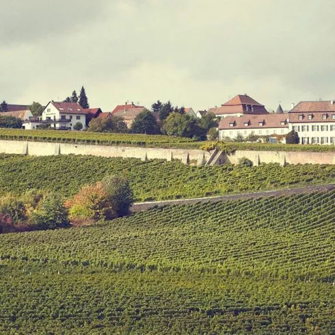 Weingut Schumacher - Ansicht von Süden (© Weingut Schumacher)