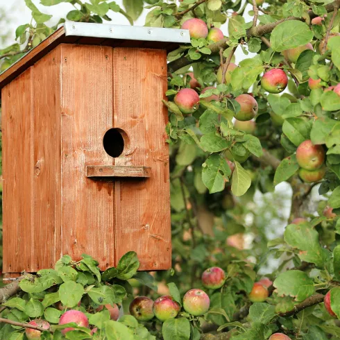 Vogelhäuschchen