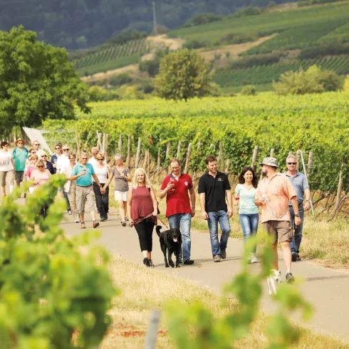 Wanderer im Weinberg