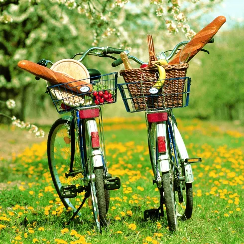 Fährräder mit Picknick