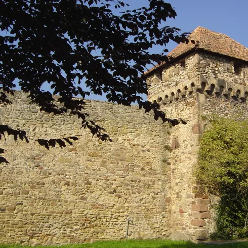Kanonenturm in der Stadtmauer Freinsheim