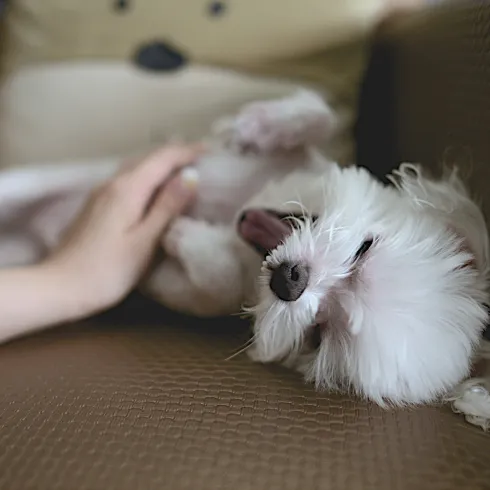 genießen kann man auf viele Arten