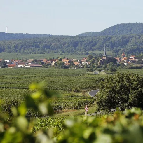 Panoramaansicht Weisenheim am Berg von Osten