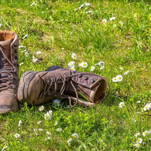 Wanderschuhe im Gras