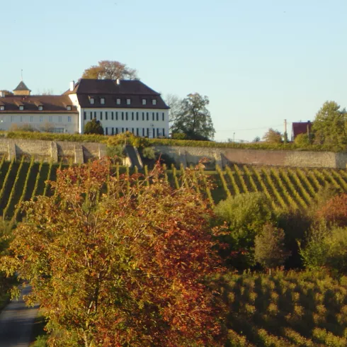 Panoramablick auf Herxheim am Berg