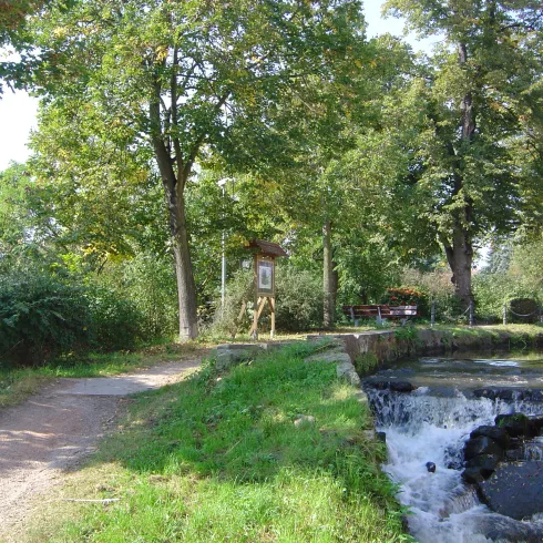 Bachlauf der Isenach in Erpolzheim