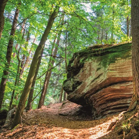 Naturdenkmal Krumholzerstuhl
