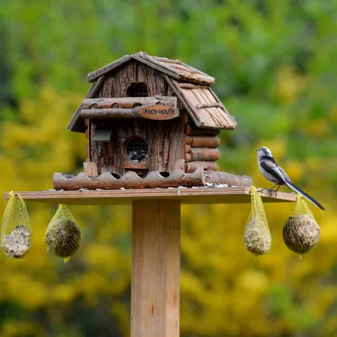 Vogelhaus mit Futter