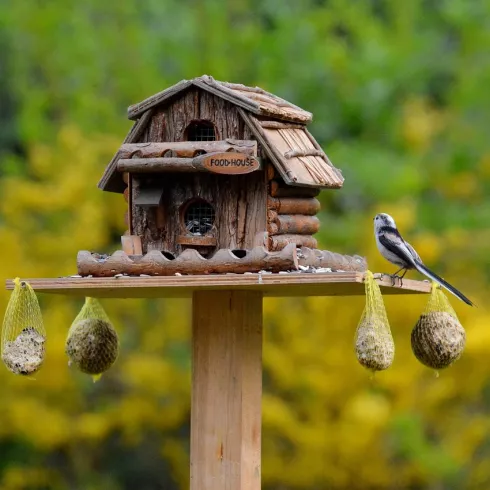 Vogelhaus mit Futter