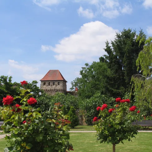 Freinsheimer Stadtmauer vom Barockgarten aus gesehen