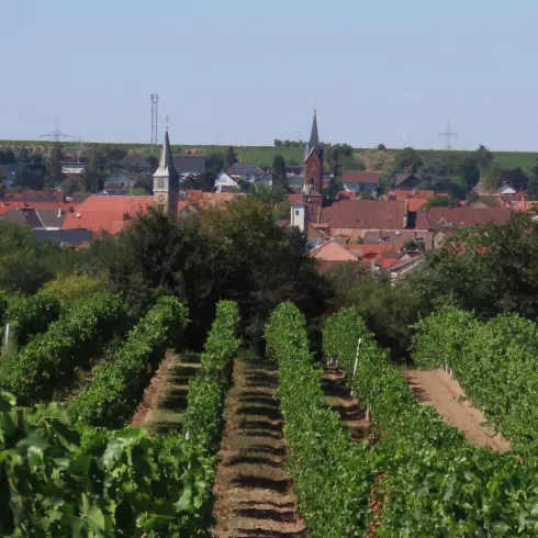 Panoramaansicht von Weisenheim am Sand