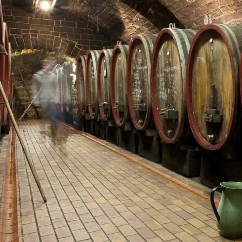 Weingut Gabel Weinkeller