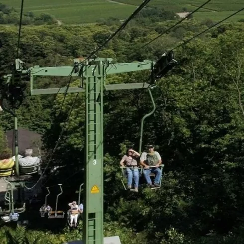 Riedburgbahn Edenkoben