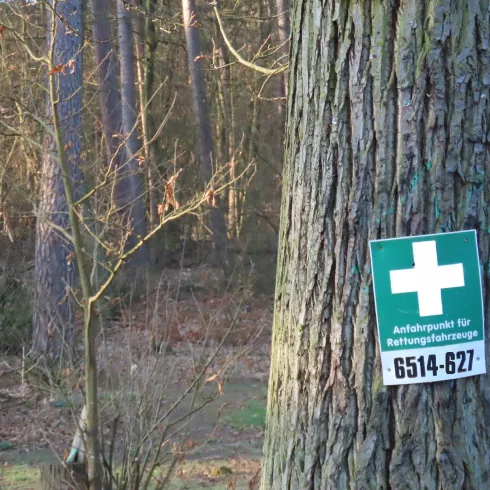 Weißes Kreuz auf grünem Grund