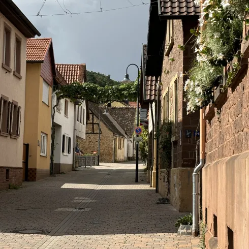 Leiningergasse in Bobenheim